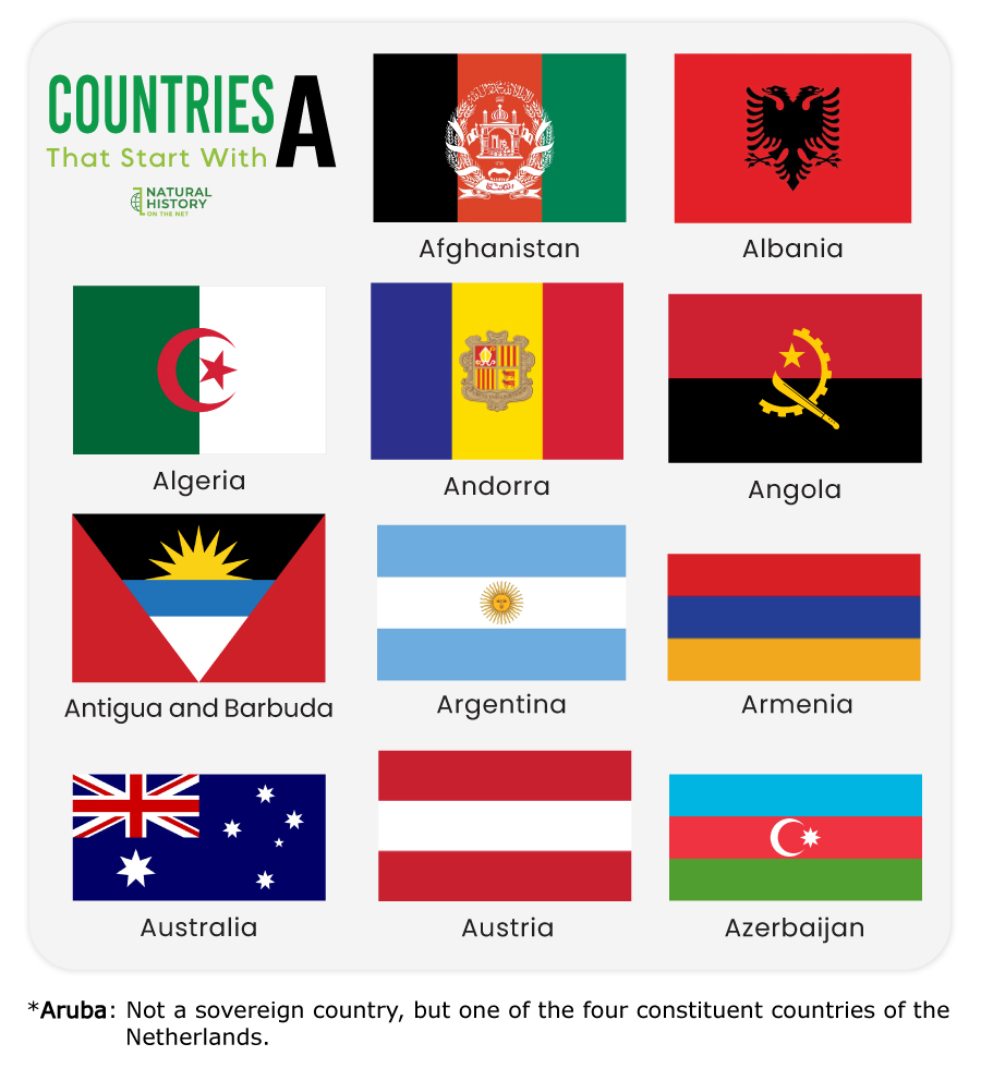 los países comienzan